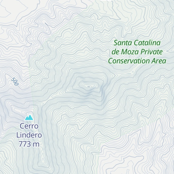 Map of Cerro Algodonal
