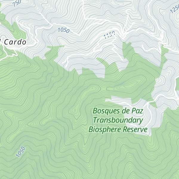 Map of Cerro Laipuna