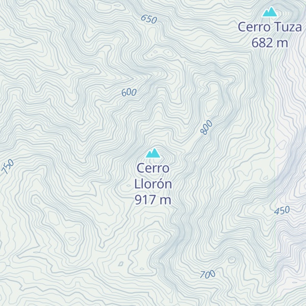 Map of Cerro Llorón
