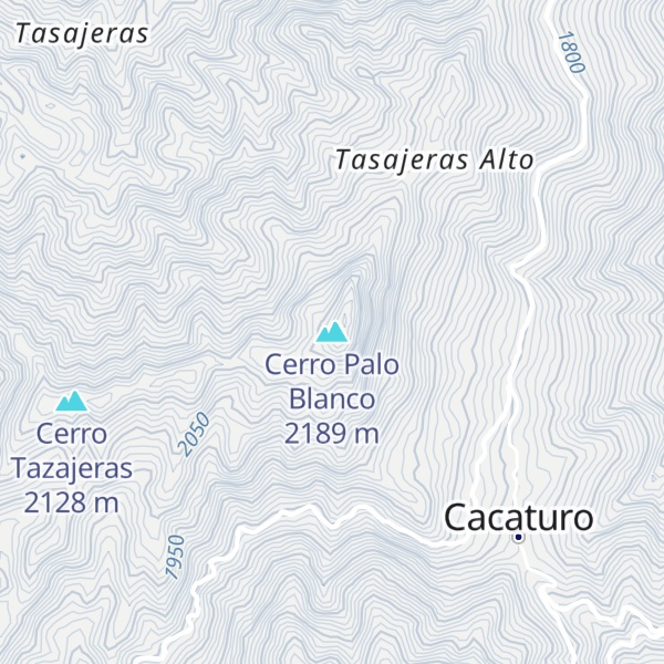 Map of Cerro Palo Blanco