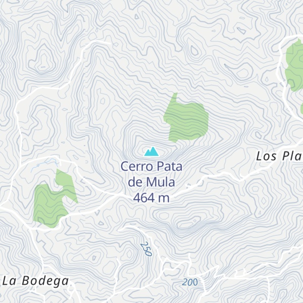 Map of Cerro Pata de Mula
