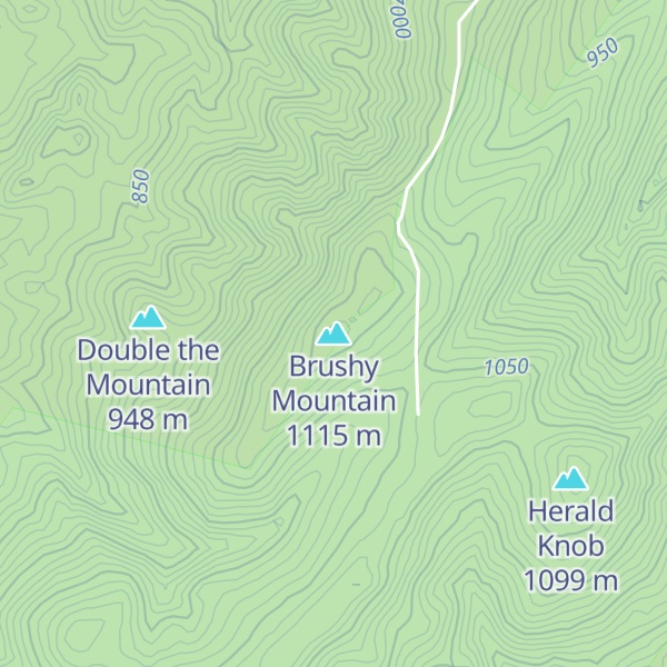 Map of Brushy Mountain
