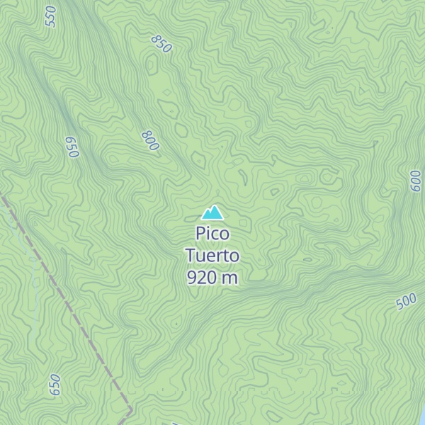 Map of Pico Tuerto