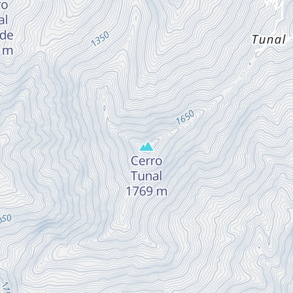 Map of Cerro Tunal
