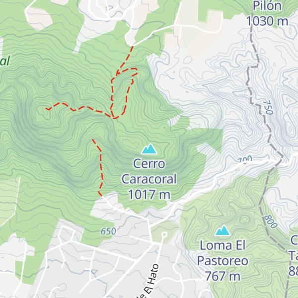 Map of Cerro Caracoral
