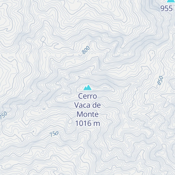 Map of Cerro Vaca de Monte