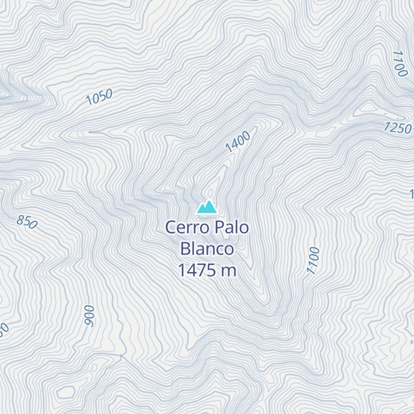 Map of Cerro Palo Blanco