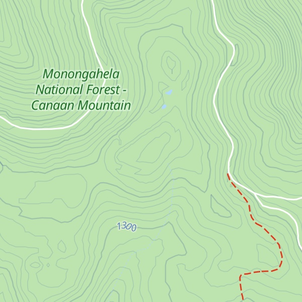 Map of Gauley Mountain