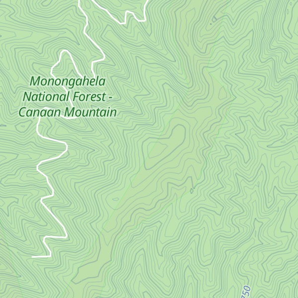 Map of Brushy Mountain