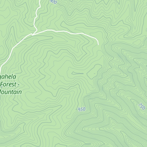 Map of Hopkins Mountain