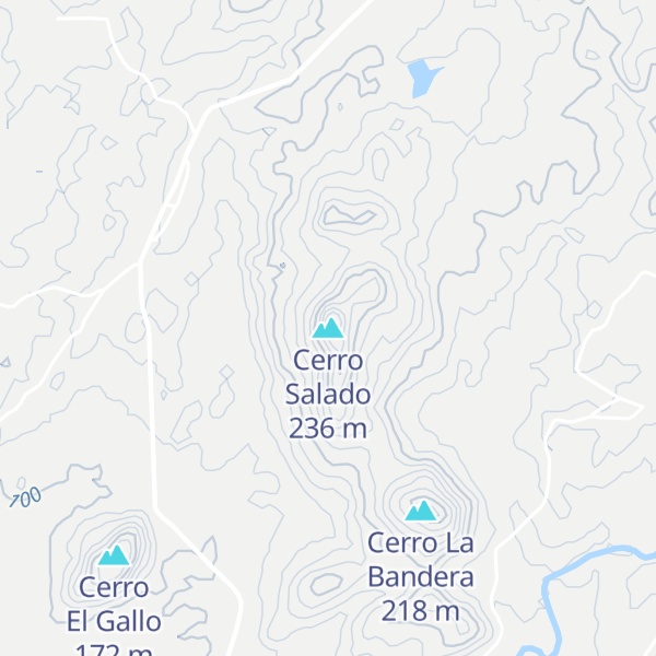 Map of Cerro Salado