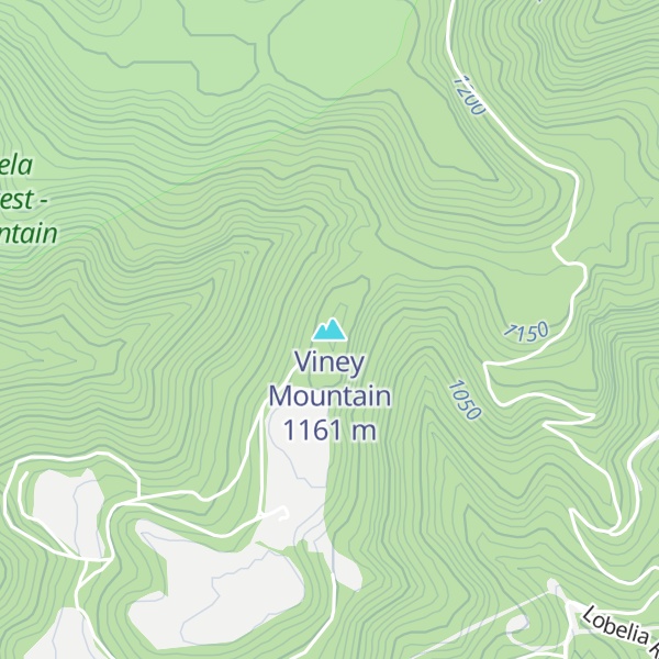 Map of Viney Mountain