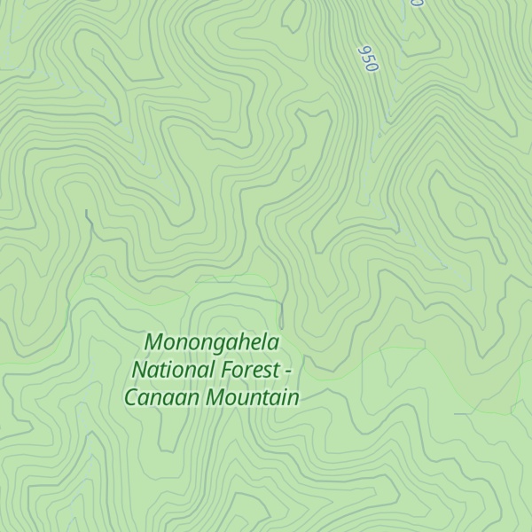 Map of Fork Ridge