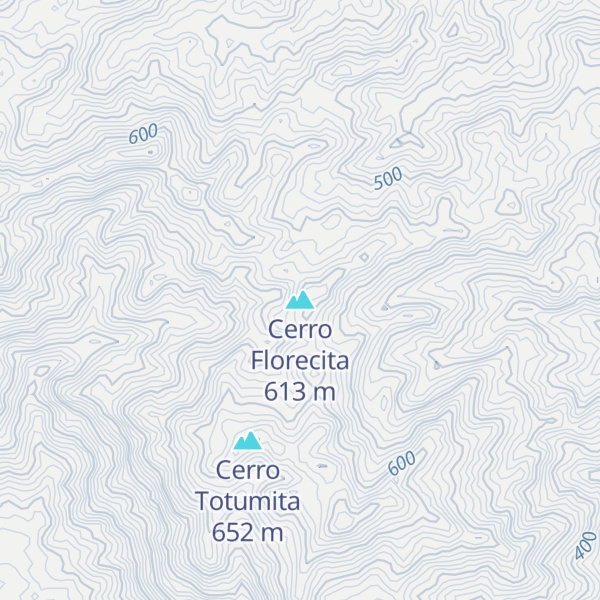 Map of Cerro Florecita