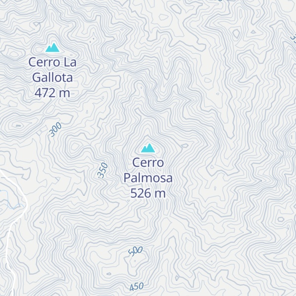 Map of Cerro Palmosa