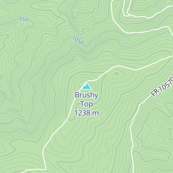 Map of Brushy Top