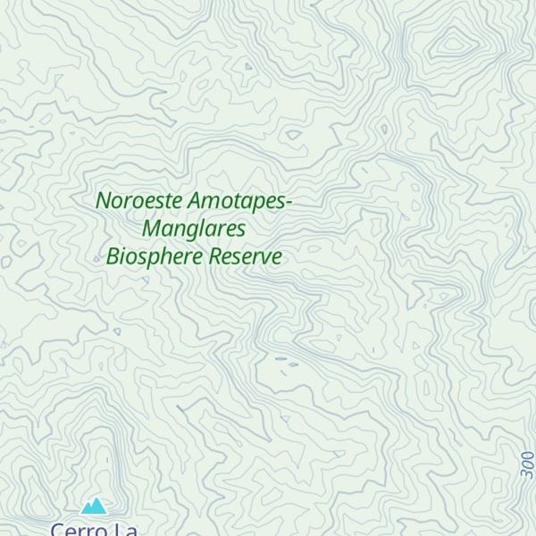 Map of Cerro Mira Grande