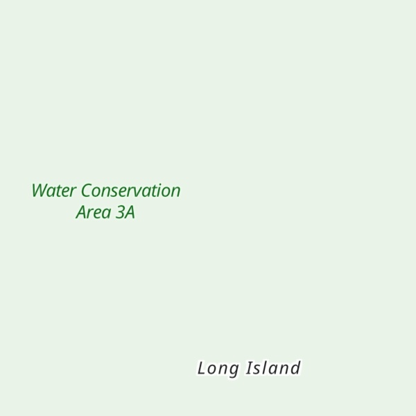 Map of Palm Tree Head