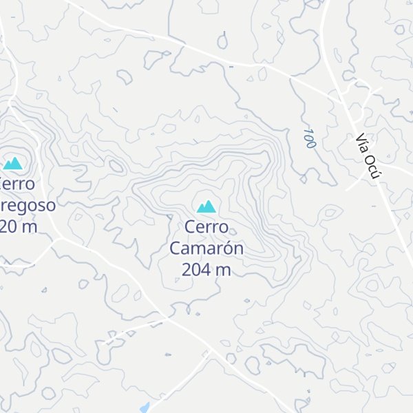 Map of Cerro Camarón