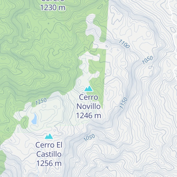 Map of Cerro Novillo