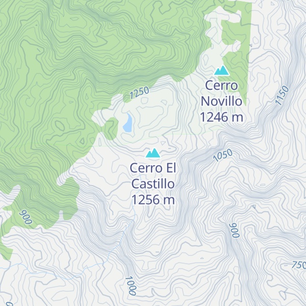 Map of Cerro El Castillo