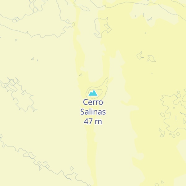 Map of Cerro Salinas