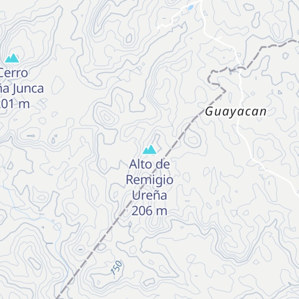 Map of Alto de Remigio Ureña