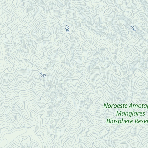 Map of Cerro Paulino