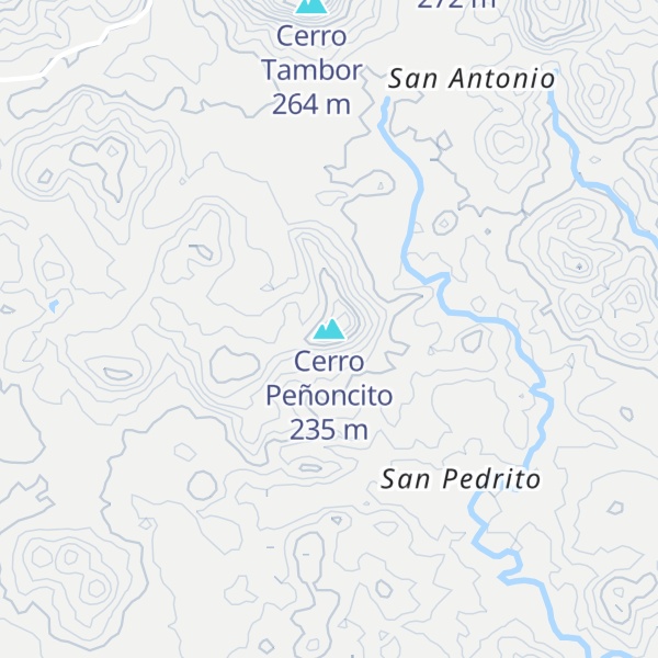 Map of Cerro Peñoncito