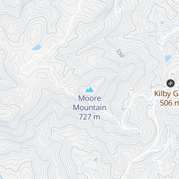 Map of Moore Mountain