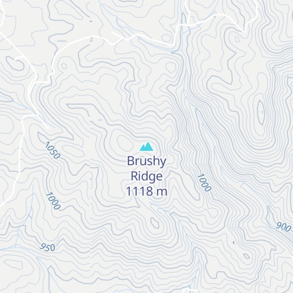 Map of Brushy Ridge
