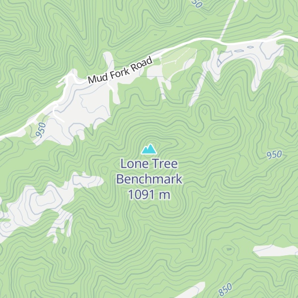 Map of Lone Tree Benchmark