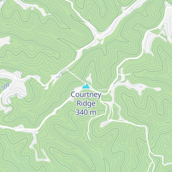 Map of Courtney Ridge