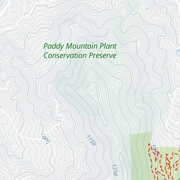 Map of Paddy Mountain