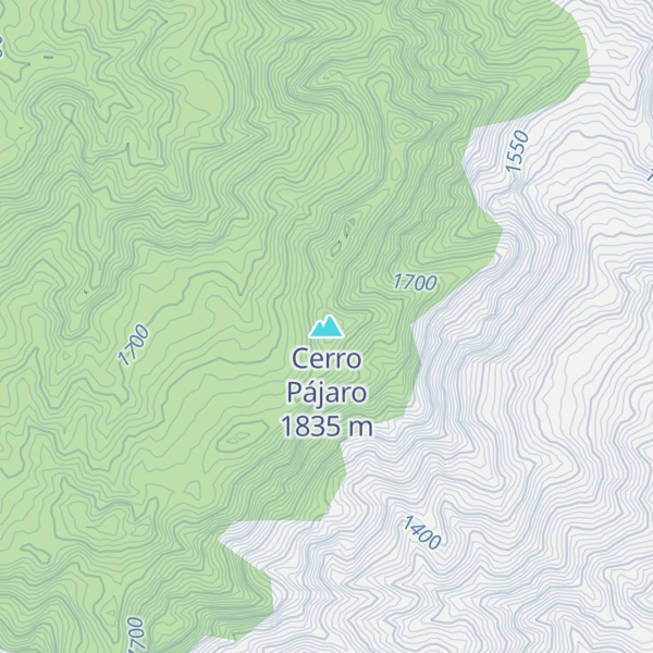 Map of Cerro Pájaro