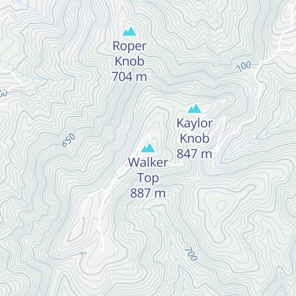 Map of Walker Top