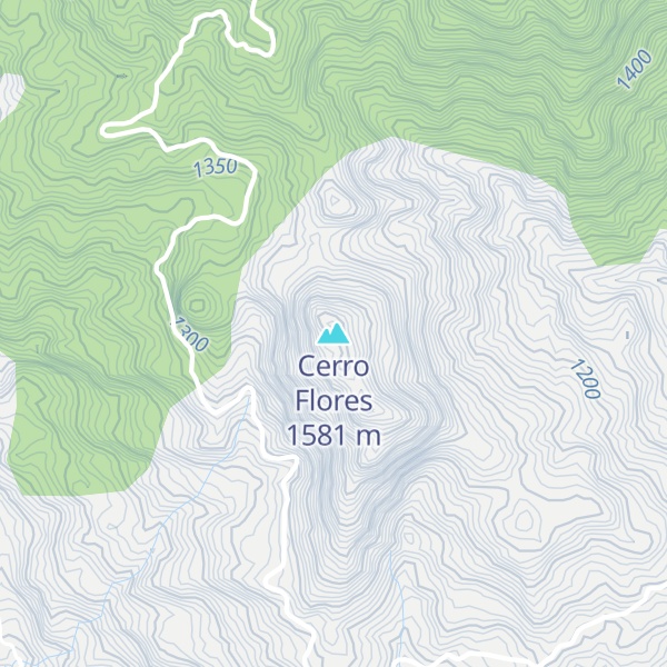 Map of Cerro Flores