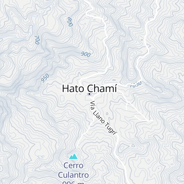 Map of Cerro Chamí