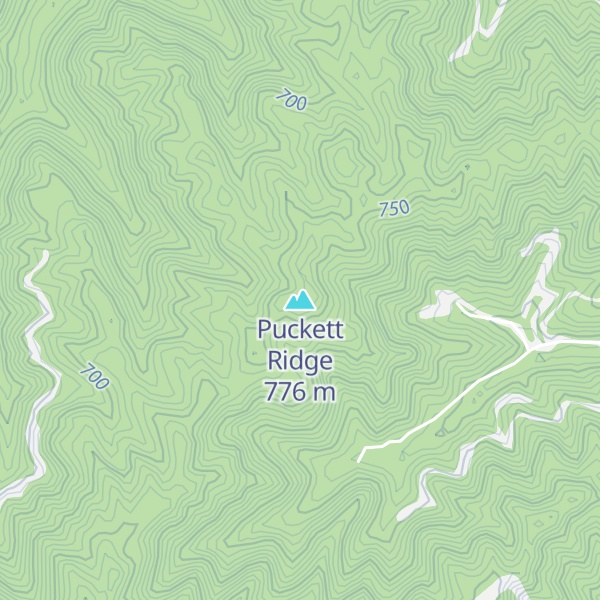 Map of Puckett Ridge