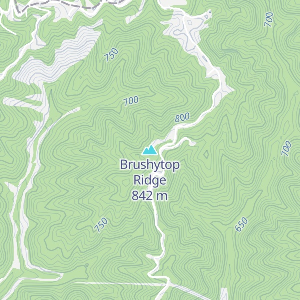 Map of Brushytop Ridge