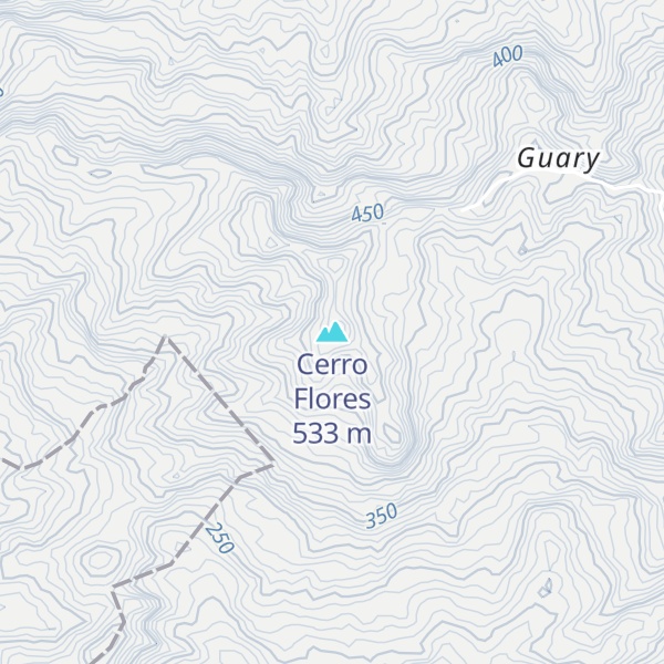 Map of Cerro Flores