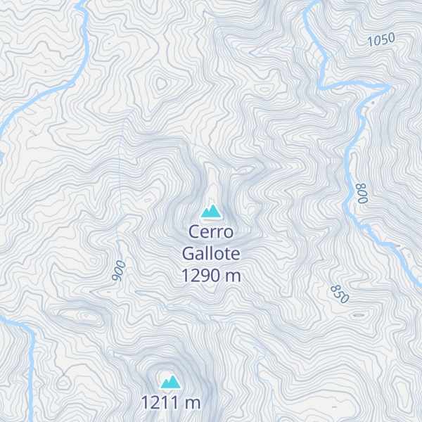 Map of Cerro Gallote