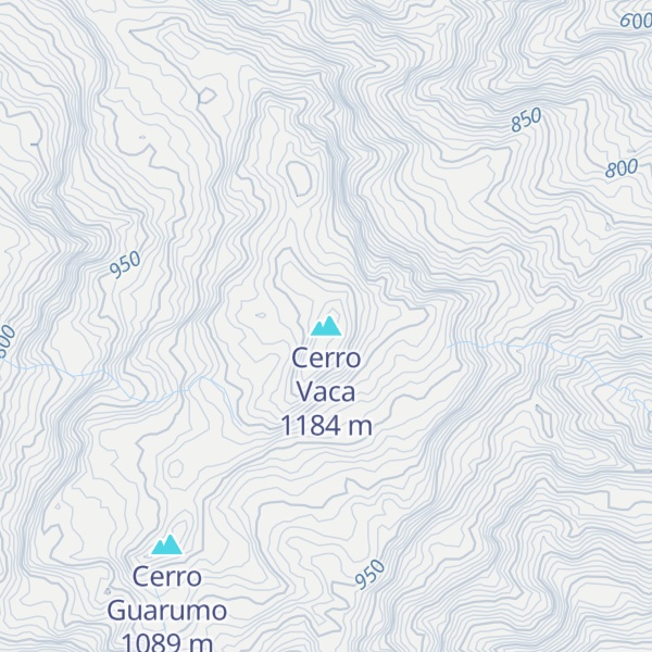 Map of Cerro Vaca