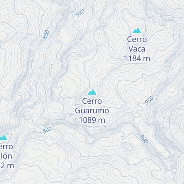 Map of Cerro Guarumo