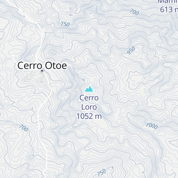 Map of Cerro Loro
