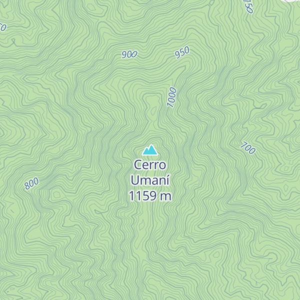Map of Cerro Umaní