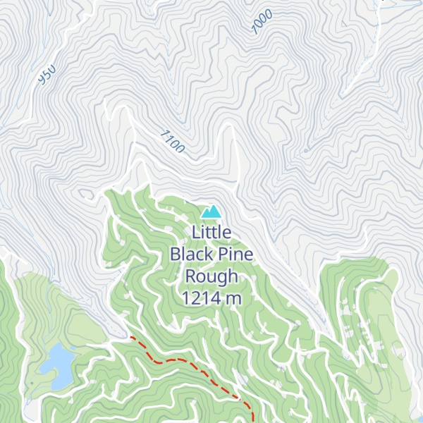 Map of Little Black Pine Rough