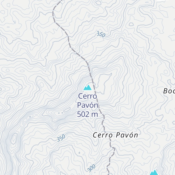 Map of Cerro Pavón
