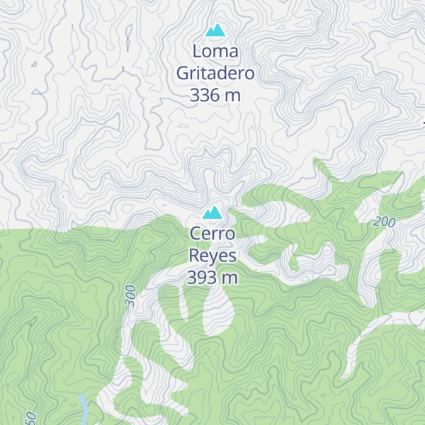 Map of Cerro Reyes