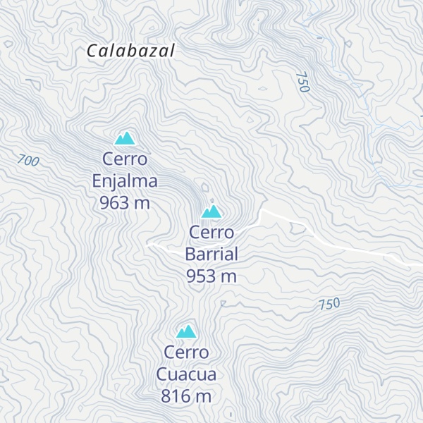 Map of Cerro Barrial